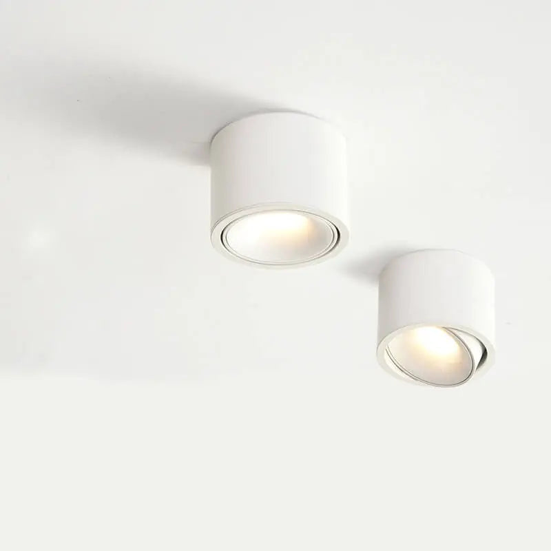 Modern Minimalist Round Spotlight Adjustable LED Flush Mount Ceiling Light Cuvalon