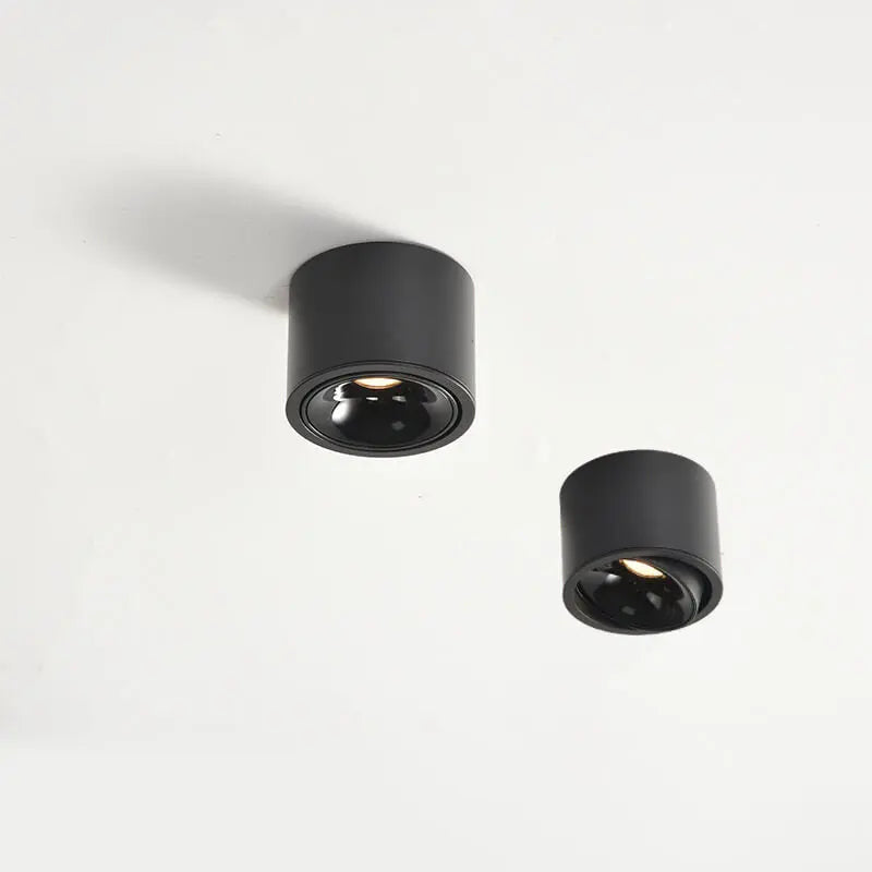Modern Minimalist Round Spotlight Adjustable LED Flush Mount Ceiling Light Cuvalon