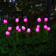 Outdoor Solar Tulip LED Waterproof Lawn Ground Decorative Insert Landscape Light Cuvalon