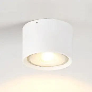 Nordic Cylinder Spotlight LED Flush Mount Ceiling Light Cuvalon