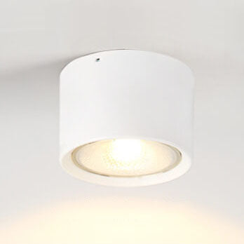 Nordic Cylinder Spotlight LED Flush Mount Ceiling Light Cuvalon