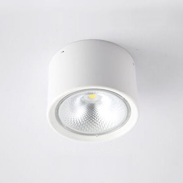 Nordic Cylinder Spotlight LED Flush Mount Ceiling Light Cuvalon