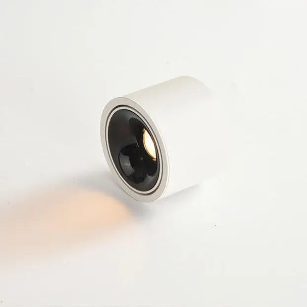Modern Minimalist Round Spotlight Adjustable LED Flush Mount Ceiling Light Cuvalon