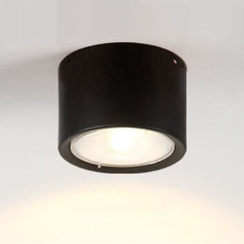Nordic Cylinder Spotlight LED Flush Mount Ceiling Light Cuvalon