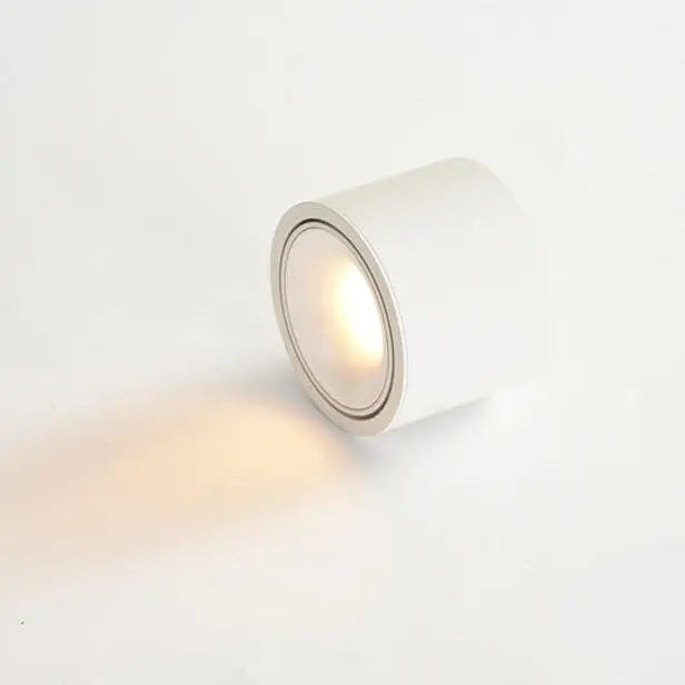 Modern Minimalist Round Spotlight Adjustable LED Flush Mount Ceiling Light Cuvalon