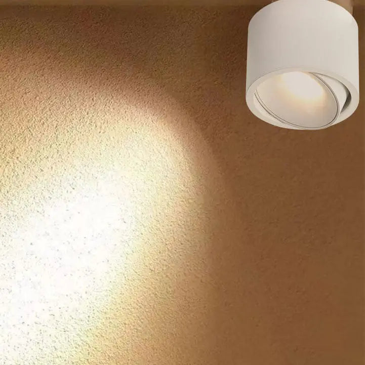 Modern Minimalist Round Spotlight Adjustable LED Flush Mount Ceiling Light Cuvalon
