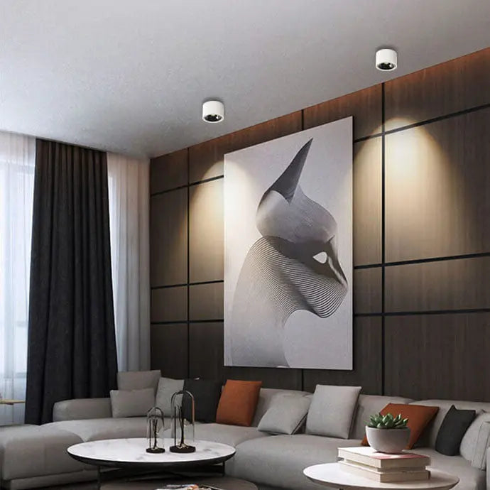 Modern Minimalist Round Spotlight Adjustable LED Flush Mount Ceiling Light Cuvalon