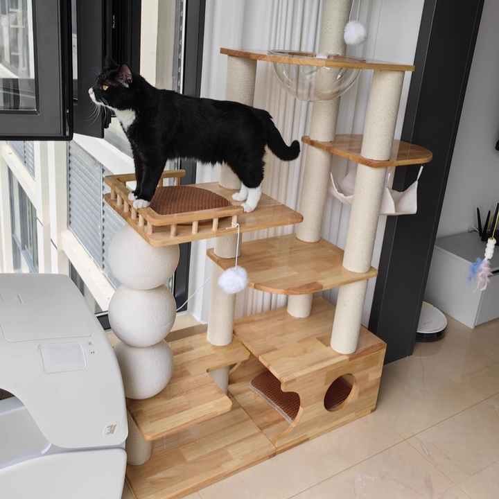 Contemporary Scandinavian Rectangular Rubberwood Plywood Pine Wood Pillar Velvet Fabric Hemp Rope Acrylic Cat Tree 3-Condo 5-Perch For Bedroom Cuvalon