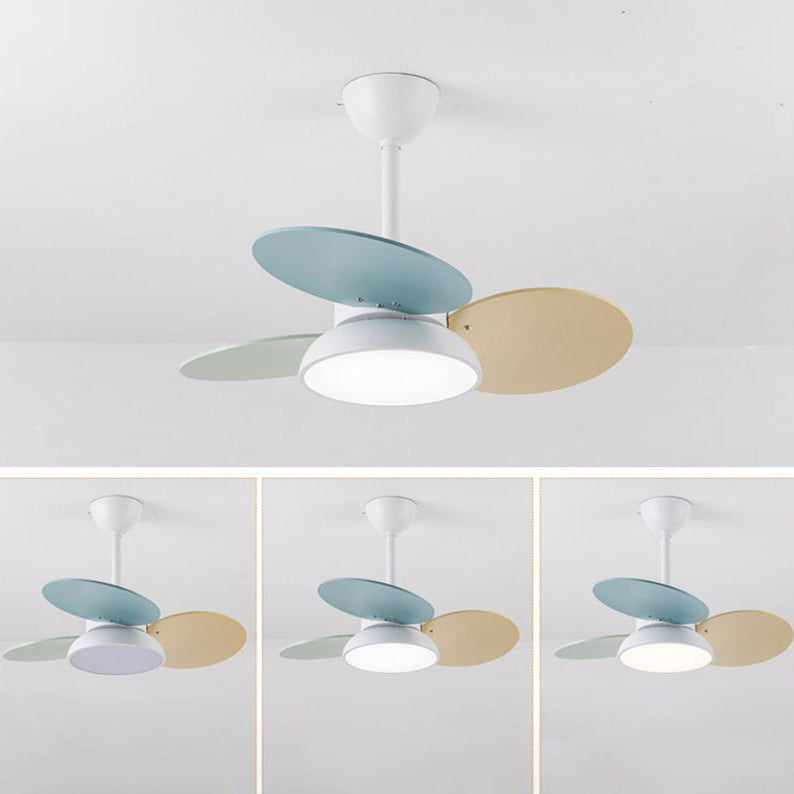Simple Colorful Round Fan Leaf Kids Downrods Ceiling Fan Light Cuvalon
