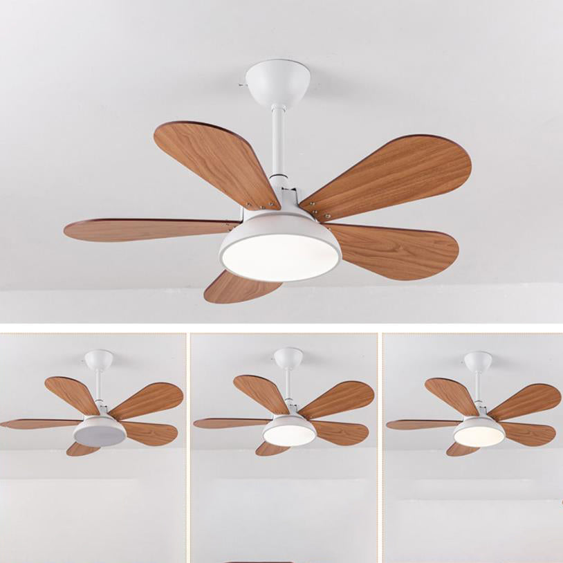 Simple Colorful Round Fan Leaf Kids Downrods Ceiling Fan Light Cuvalon