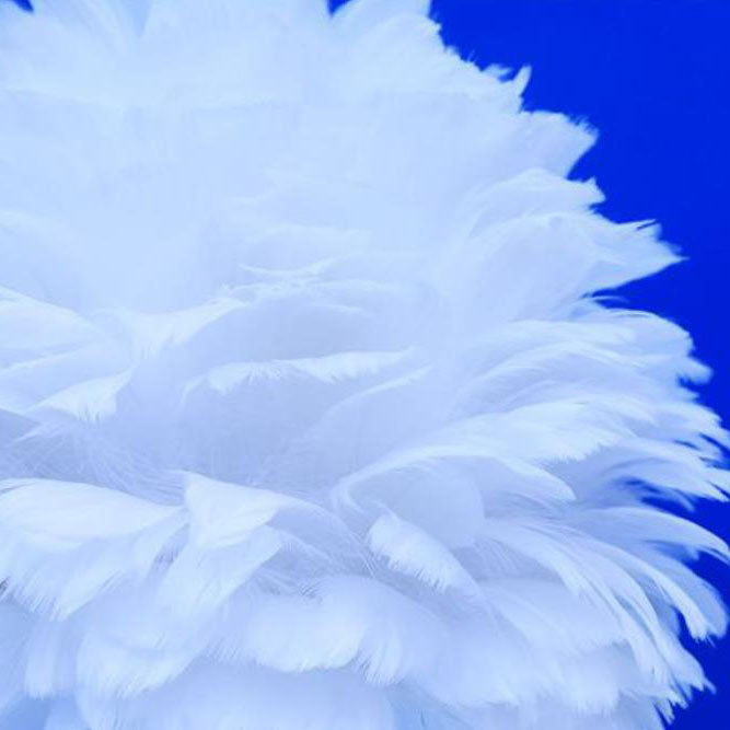 Modern Creative Unicorn Feather Children 1-Light Table Lamp Cuvalon