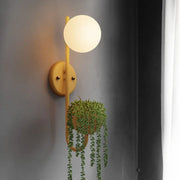 Sphere 1-Light Storage Box Planting Pot Decoration Wall Sconce Lamps Cuvalon
