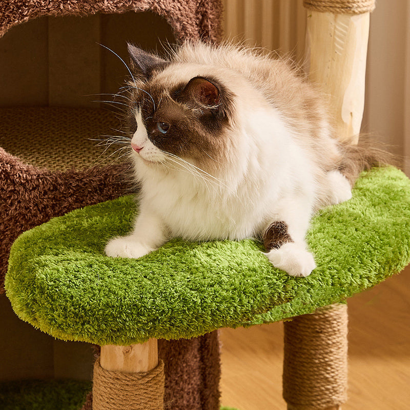 Contemporary Creative Round Particleboard Natural Fruitwood Velvet Fabric Sisal 2-Condo 2-Perch Cat Tree For Living Room Cuvalon
