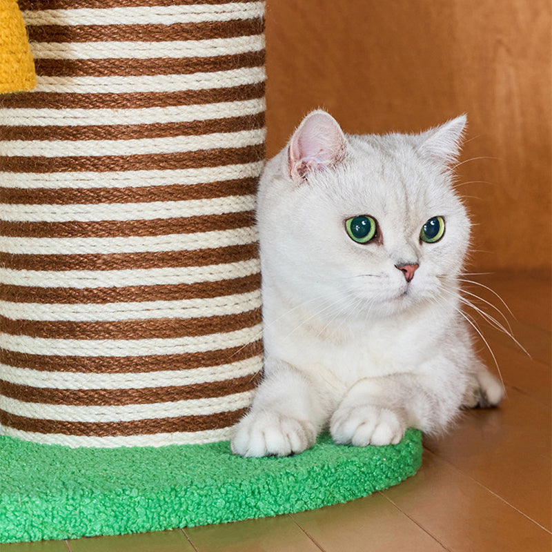 Contemporary Creative Round Particleboard Paper Tube Corduroy Hemp Rope 2-Condo 4-Perch Cat Tree For Bedroom Cuvalon
