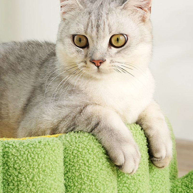 Contemporary Creative Round Velvet Fabric Hemp Rope 1-Condo Cat Bed For Bedroom Cuvalon