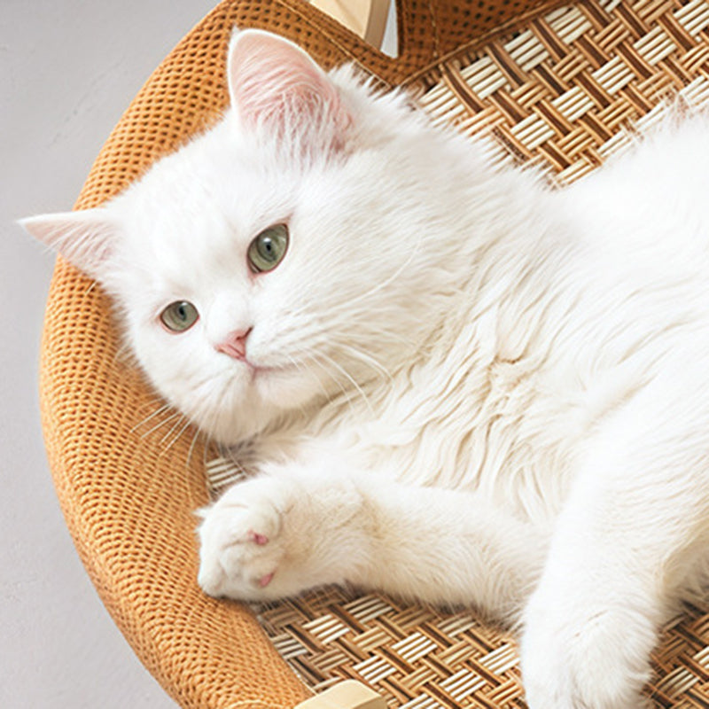 Contemporary Boho Round Rattan Mat Solid Wood Multi-Layer Board Fabric Medium Density Fiberboard Cat Bed For Bedroom Cuvalon