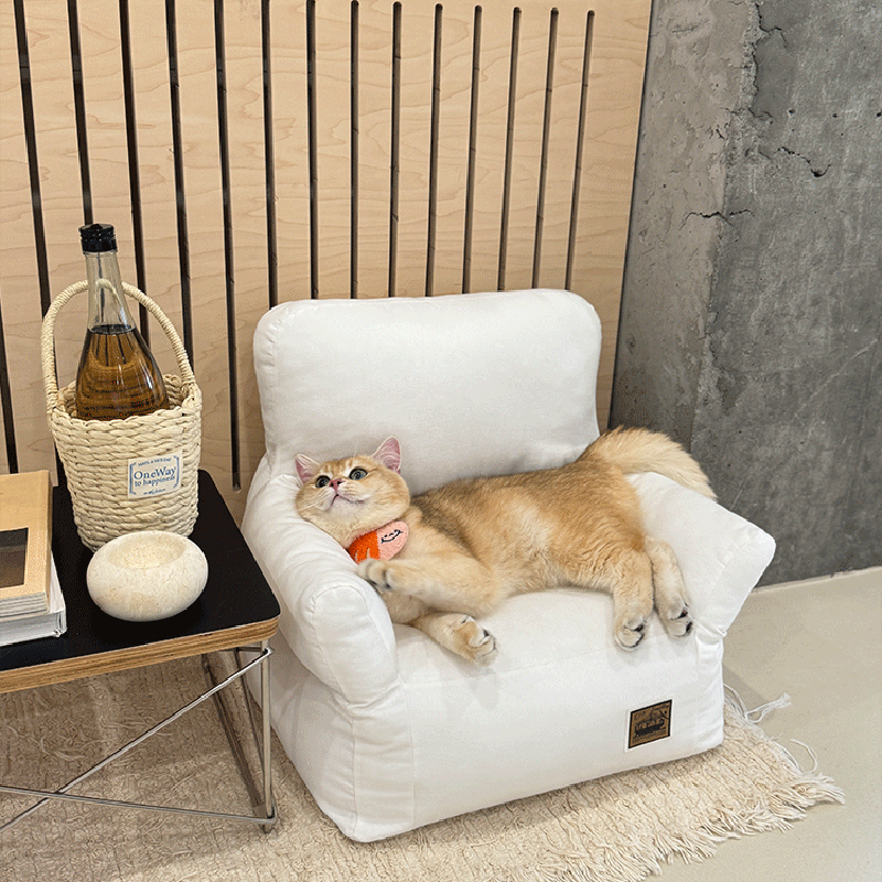 Modern Minimalist Rectangular Fabric PP Cotton Pet Accent Chair Backrest Armrest For Living Room Cuvalon