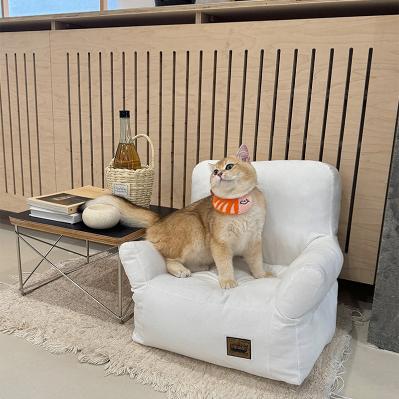 Modern Minimalist Rectangular Fabric PP Cotton Pet Accent Chair Backrest Armrest For Living Room Cuvalon