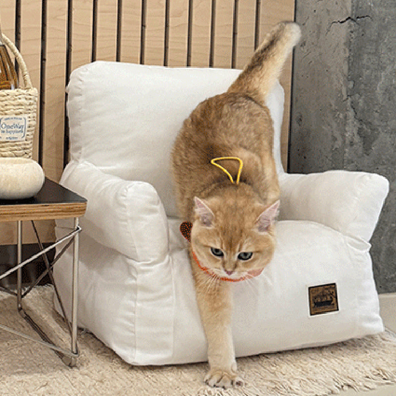 Modern Minimalist Rectangular Fabric PP Cotton Pet Accent Chair Backrest Armrest For Living Room Cuvalon
