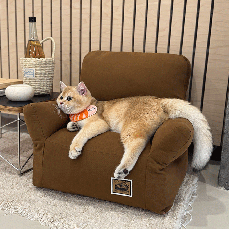 Modern Minimalist Rectangular Fabric PP Cotton Pet Accent Chair Backrest Armrest For Living Room Cuvalon