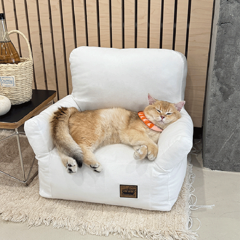 Modern Minimalist Rectangular Fabric PP Cotton Pet Accent Chair Backrest Armrest For Living Room Cuvalon