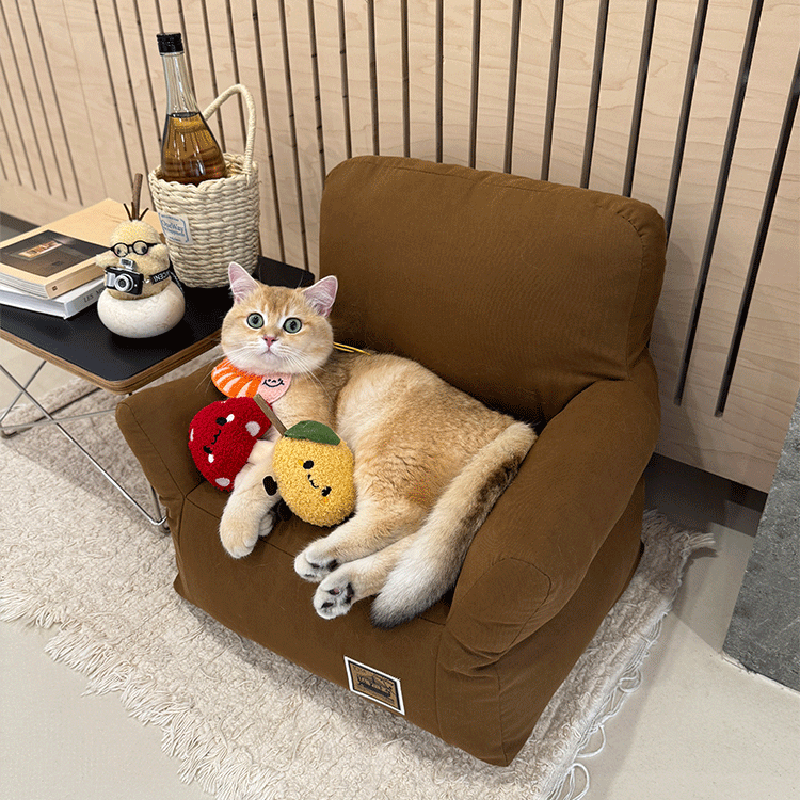 Modern Minimalist Rectangular Fabric PP Cotton Pet Accent Chair Backrest Armrest For Living Room Cuvalon