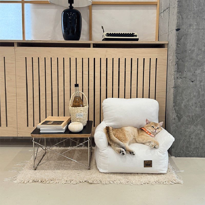 Modern Minimalist Rectangular Fabric PP Cotton Pet Accent Chair Backrest Armrest For Living Room Cuvalon