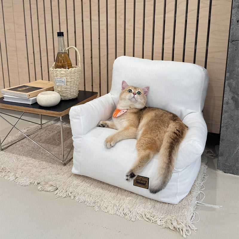 Modern Minimalist Rectangular Fabric PP Cotton Pet Accent Chair Backrest Armrest For Living Room Cuvalon