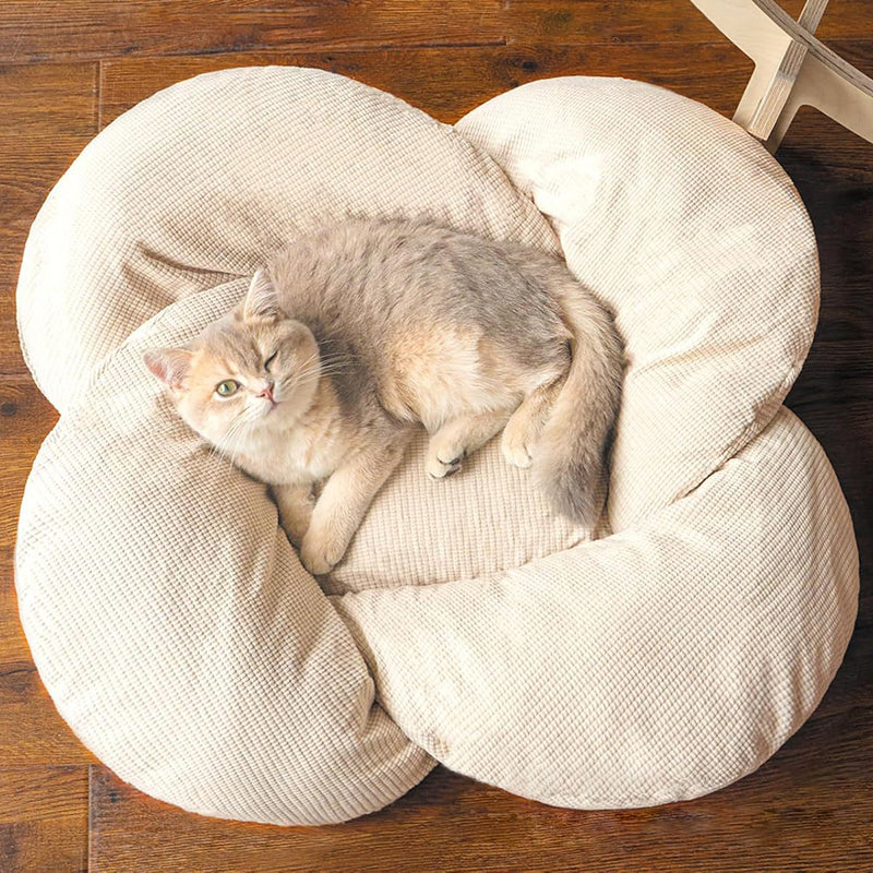 Modern Minimalist Floral-Shaped Curved Multi-Layer Plywood Velvet Cat Bed 4-Leg For Bedroom Cuvalon