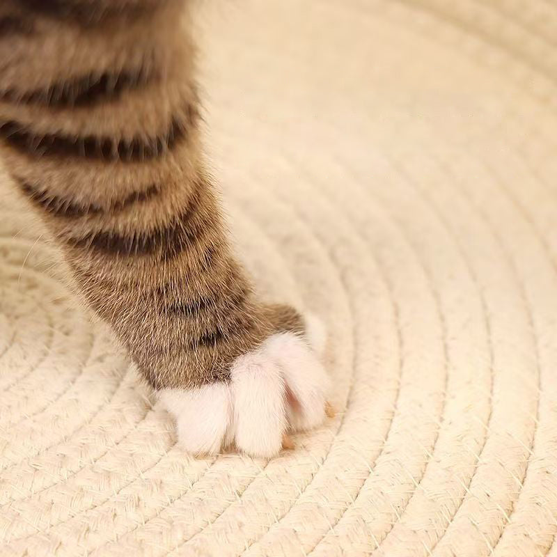Contemporary Creative Cylindrical Cat Ear Design Cotton Linen Cat Bed With Toy Ball For Bedroom Cuvalon