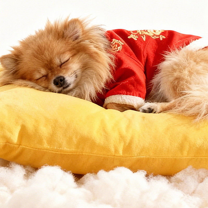 Contemporary Creative Rectangular Ultra-Soft Plush Fabric Crystal Velvet Anti-Slip Dotted Fabric Dog Bed Cat Bed With Handle For Bedroom Cuvalon