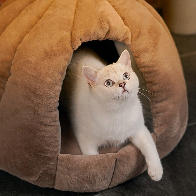 Contemporary Creative Spherical Pumpkin-Shaped Mongolian Yurt Velvet Anti-Slip Dotted Fabric Dog Bed & Cat Bed For Bedroom Cuvalon