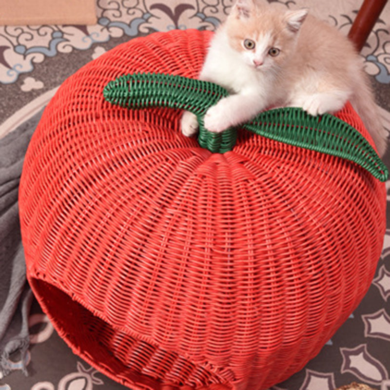 Contemporary Creative Apple-Shaped PP/PE Rattan Velvet Cat Bed With Toy Ball For Bedroom Cuvalon