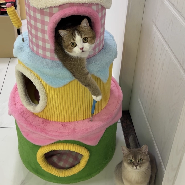 Contemporary Creative Round Particleboard Velvet Fabric Cake-Shaped Cat Tree 3-Tier For Living Room Cuvalon