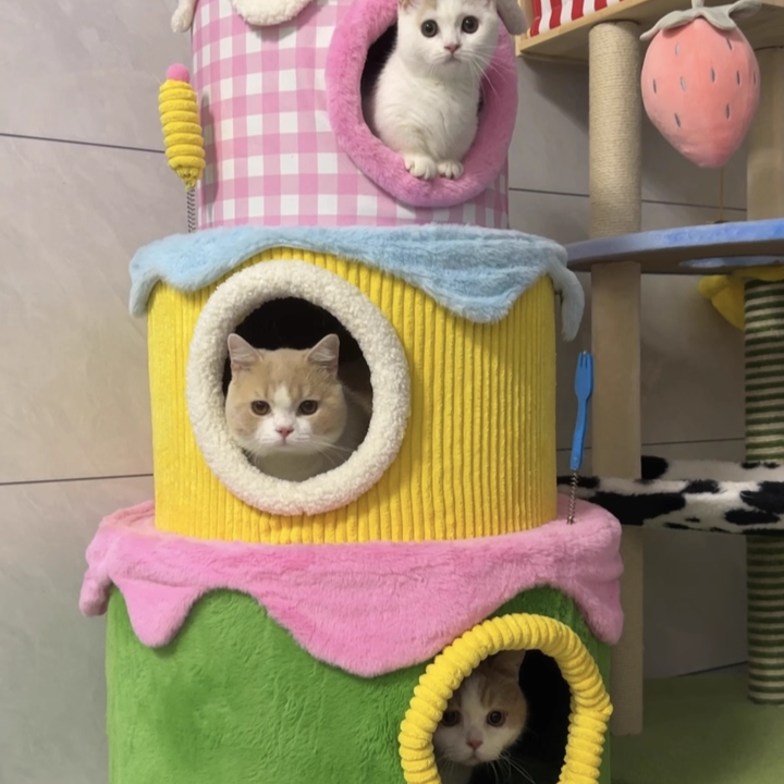 Contemporary Creative Round Particleboard Velvet Fabric Cake-Shaped Cat Tree 3-Tier For Living Room Cuvalon