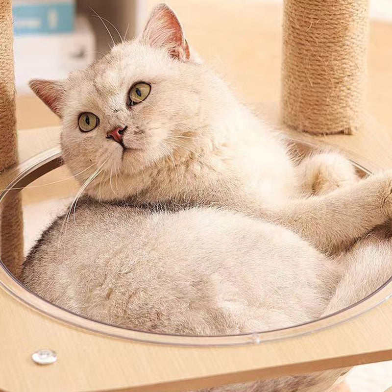 Contemporary Creative Cylindrical Flower-Shaped Medium Density Fiberboard Hemp Rope Plastic Cat Tree For Living Room Cuvalon