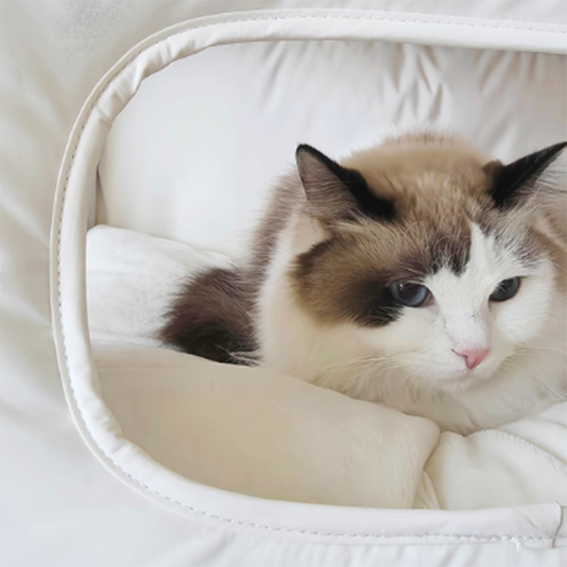 Modern Minimalist House Shaped Plastic Polyester Cotton PP Cotton Pet Waterproof Dog Bed Cat Bed For Bedroom Cuvalon