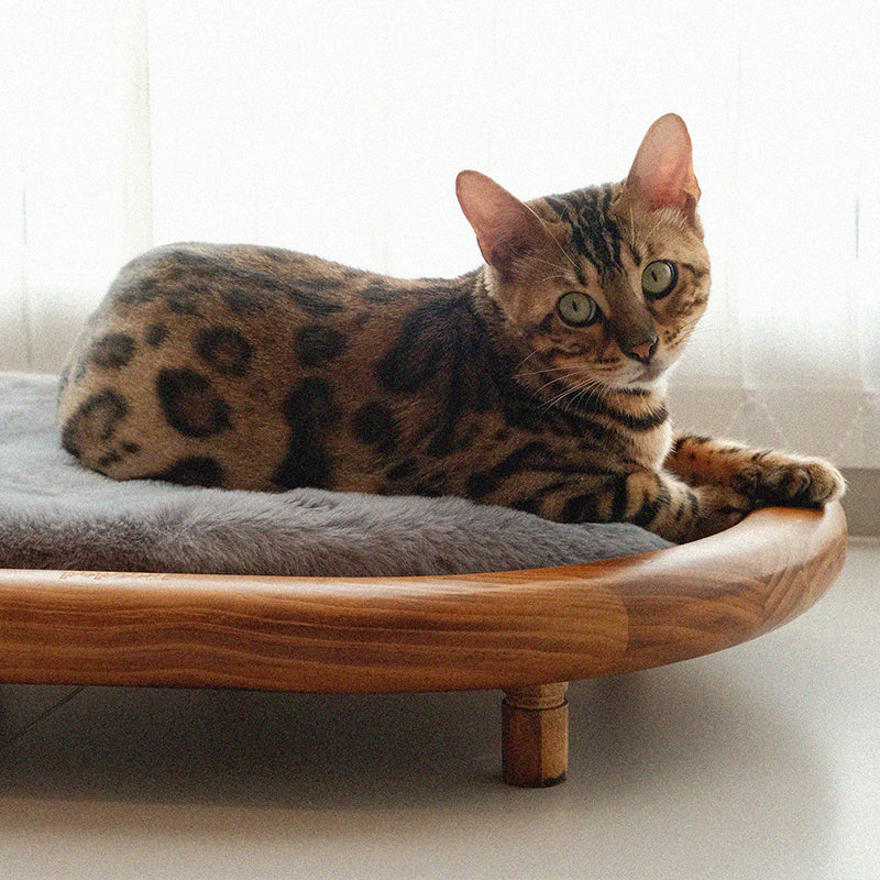 Modern Minimalist Oval Solid Wood Velvet Cat Claw Leather Pet Dog Bed & Cat Bed For Bedroom Cuvalon