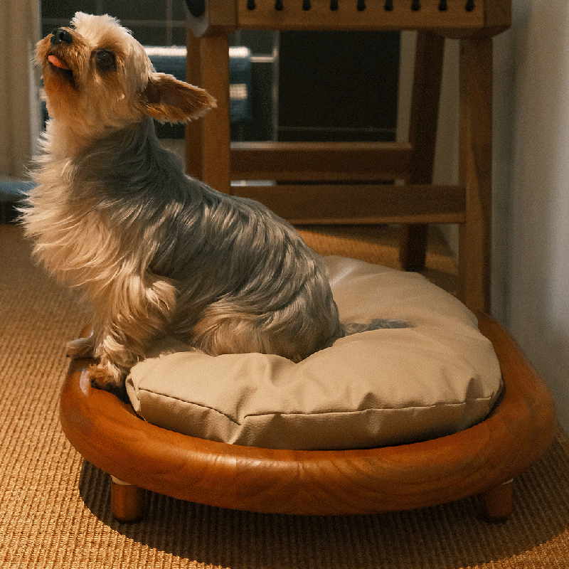 Modern Minimalist Oval Solid Wood Velvet Cat Claw Leather Pet Dog Bed & Cat Bed For Bedroom Cuvalon