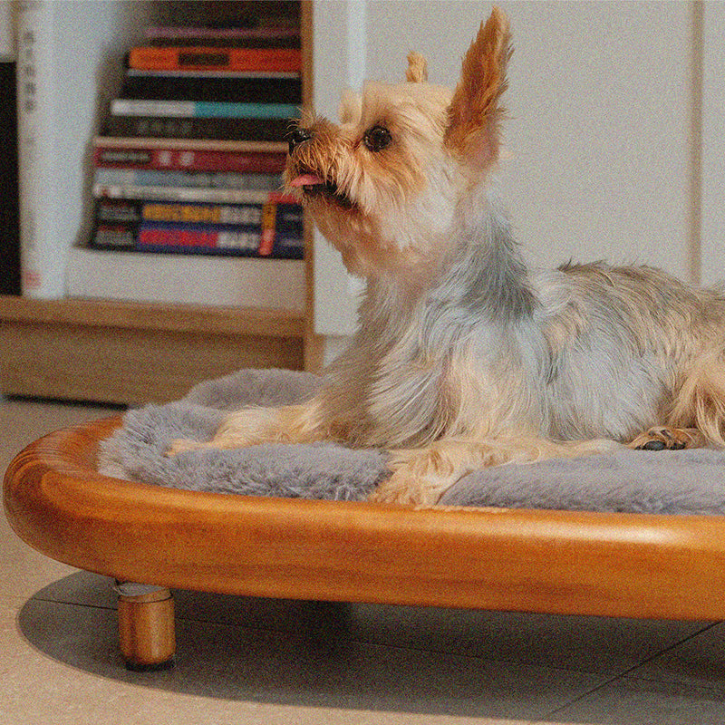 Modern Minimalist Oval Solid Wood Velvet Cat Claw Leather Pet Dog Bed & Cat Bed For Bedroom Cuvalon