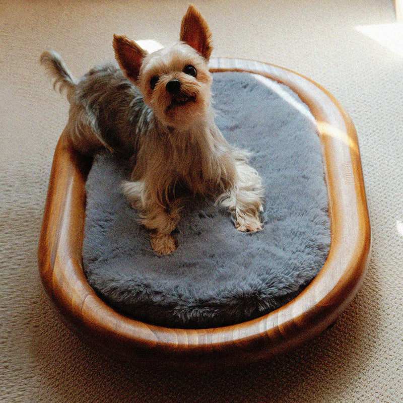 Modern Minimalist Oval Solid Wood Velvet Cat Claw Leather Pet Dog Bed & Cat Bed For Bedroom Cuvalon