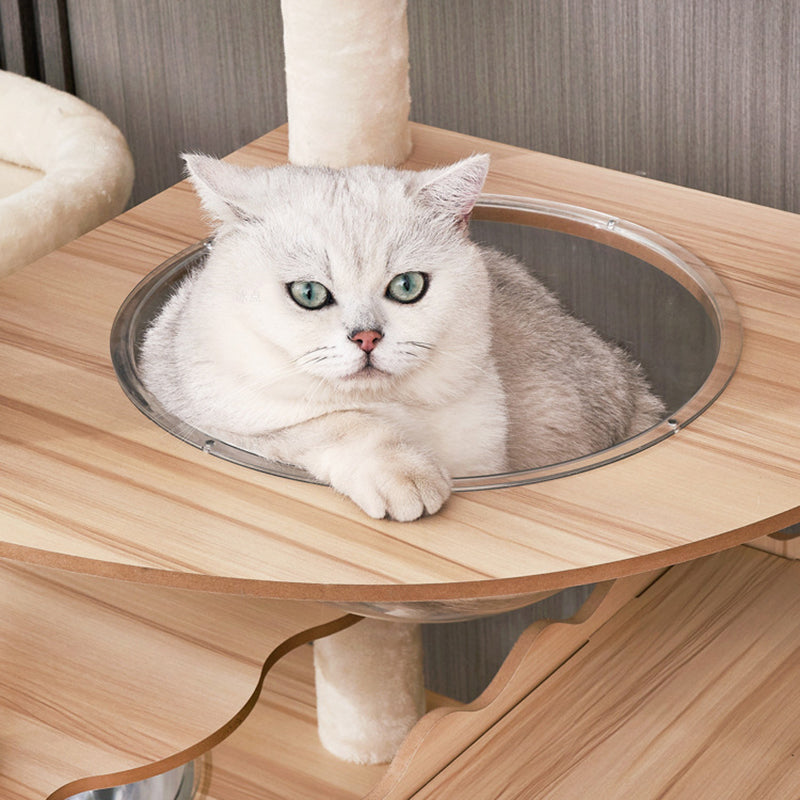 Contemporary Scandinavian Rectangular Medium-Density Fiberboard Acrylic Multi-Functional Cat Tree For Living Room Cuvalon
