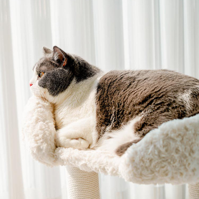 Contemporary Scandinavian Round Medium-Density Fiberboard Velvet Fabric Sisal Multi-Functional Cat Tree For Living Room Cuvalon