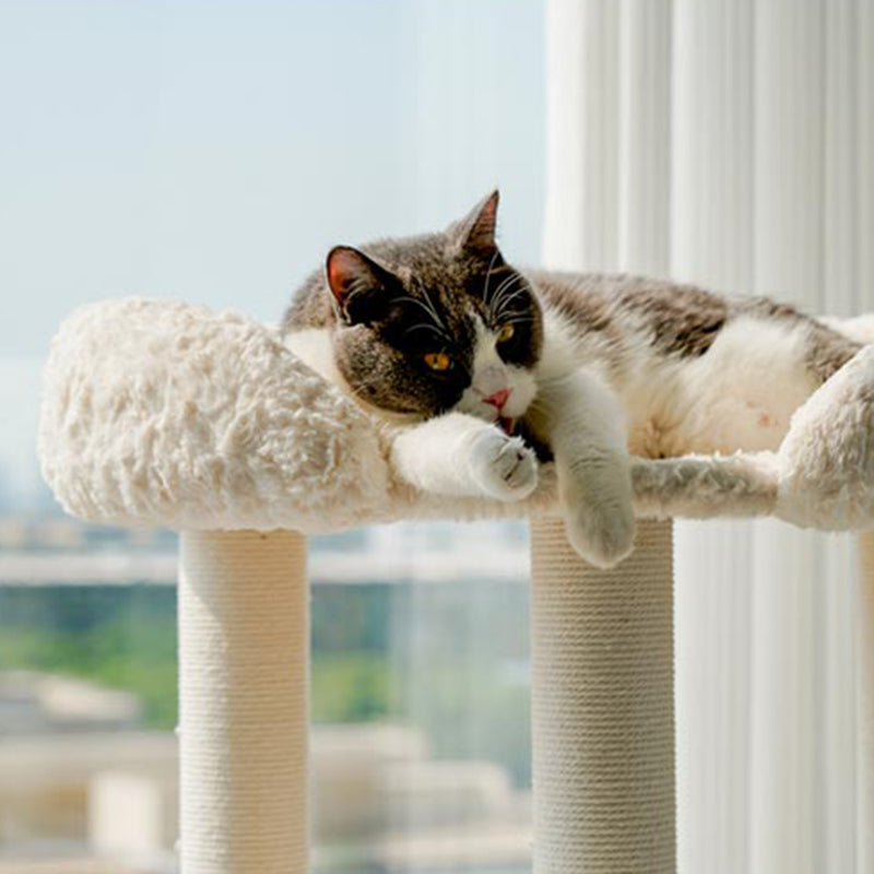 Contemporary Scandinavian Round Medium-Density Fiberboard Velvet Fabric Sisal Multi-Functional Cat Tree For Living Room Cuvalon