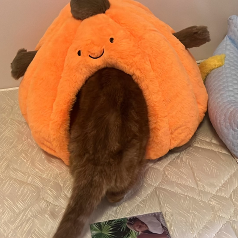 Contemporary Creative Round Velvet Fabric PP Cotton Semi-Enclosed Cat Bed For Bedroom Cuvalon