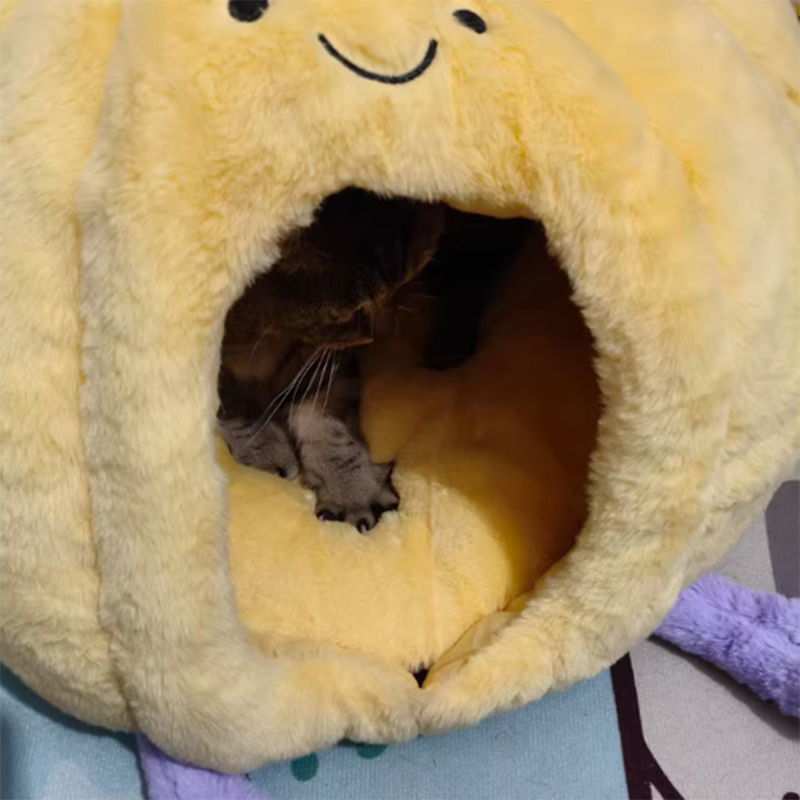 Contemporary Creative Round Velvet Fabric PP Cotton Semi-Enclosed Cat Bed For Bedroom Cuvalon