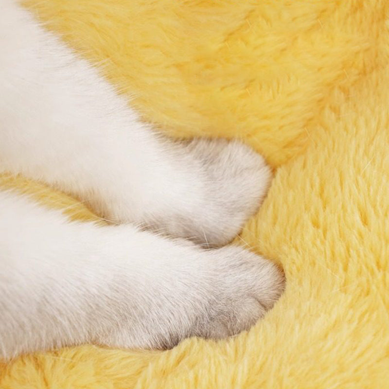 Contemporary Creative Round Velvet Fabric PP Cotton Semi-Enclosed Cat Bed For Bedroom Cuvalon