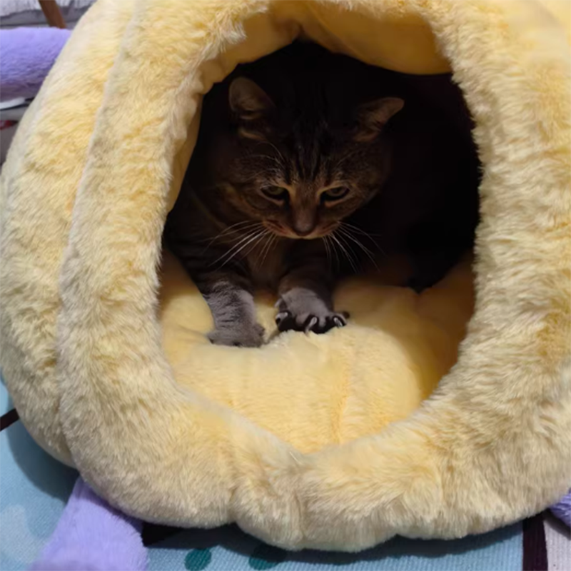 Contemporary Creative Round Velvet Fabric PP Cotton Semi-Enclosed Cat Bed For Bedroom Cuvalon