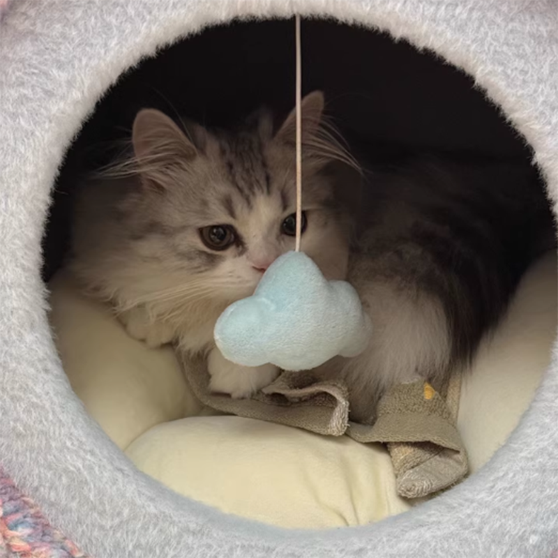 Contemporary Creative Round Particleboard Velvet Fabric Paper Rope Paper Tube Cat Bed For Bedroom Cuvalon