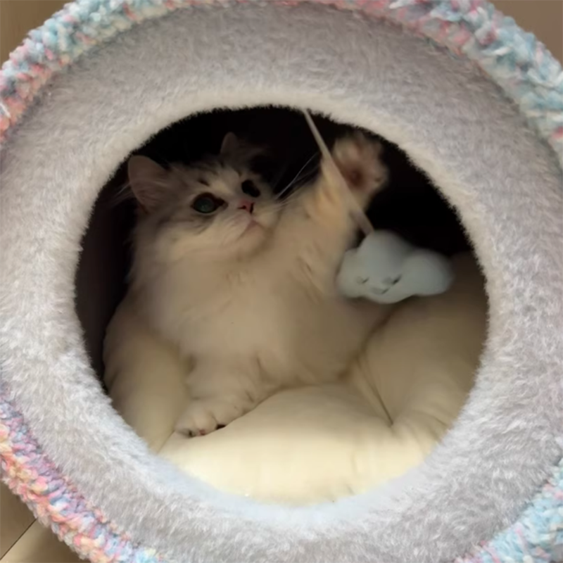Contemporary Creative Round Particleboard Velvet Fabric Paper Rope Paper Tube Cat Bed For Bedroom Cuvalon